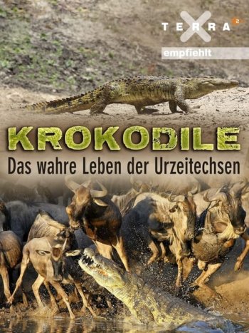 Crocodiles - The Private Life of Primeaval Reptiles