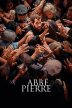 Abbé Pierre - A Century of Devotion