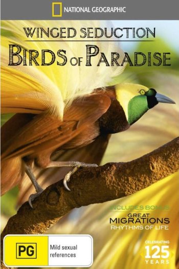 Winged Seduction: Birds of Paradise