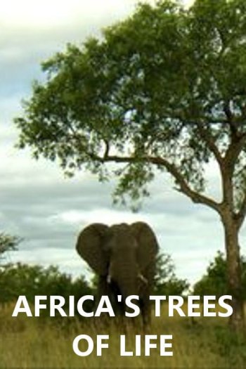 Africa's Trees of Life