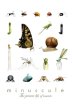 Minuscule: The Private Life of Insects